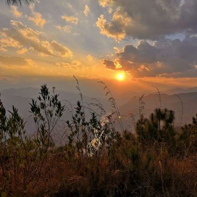 天博网页版入口官网截图